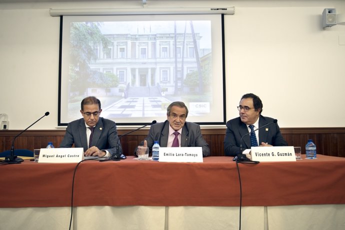Miguel Ángel Castro, Emilio Lora-Tamayo y Vicente Guzmán