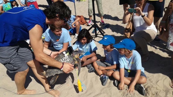 En la actividad han participado decenas de escolares
