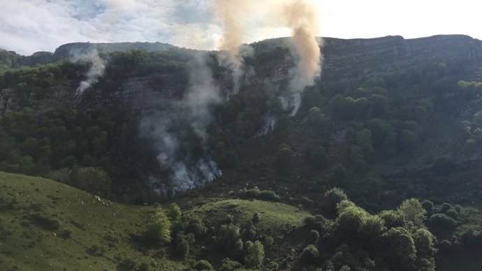 Incendio forestal en la comarca del Asón (Archivo)