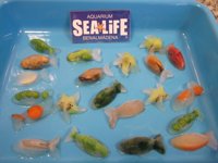 Las especies del acuario Sea Life Benalmádena comen helados y gelatina para combatir el calor