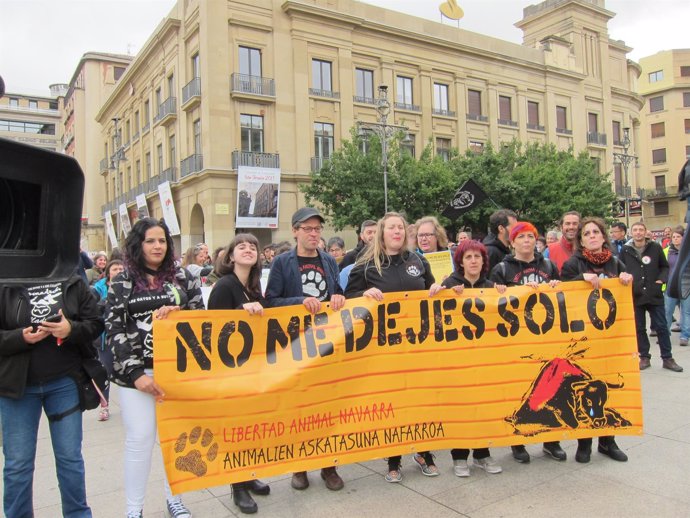 Manifestación en Pamplona contra la tauromaquia                         
