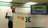 Heredia (PSOE) critica que el Gobierno pida a 24.000 estudiantes andaluces devolver becas y los "recortes" en la cuantía