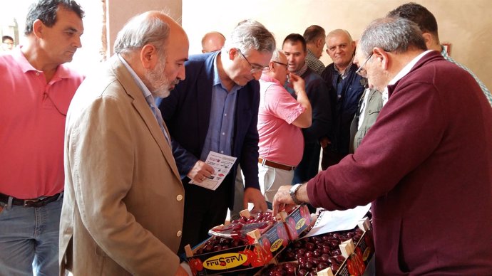 Olona visita el encuentro de profesionales del sector de la cereza en Calatayud.