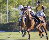 Jolly Rogers y Ayala Polo Team vencen en la penúltima jornada de la XIII Copa Jerez en el Santa María Polo Club