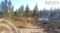 Declarado un incendio forestal en un paraje de El Cerro del Andévalo (Huelva)