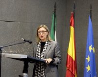 Trinidad Nogales, nueva directora del Museo Nacional de Arte Romano de Mérida