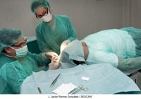 C-LM registra más de 4.700 intervenciones de cirugía menor hasta mayo, un 50,4% más el año anterior