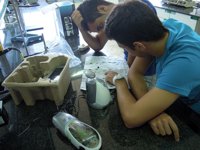 Un centenar de estudiantes malagueños participan en los Campus Científicos de Verano