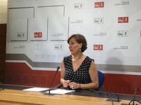 PSOE responde a Guarinos exhibiendo mejoras de gestión en Dependencia, atracción de empresas y listas de espera