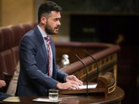 El PSOE pide la comparecencia de la ministra de Agricultura ante la llegada de la Xylella a la Península