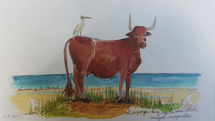 Gaviotas, expurga-bueyes, calas y playas, entre otras, inundan la colección.  