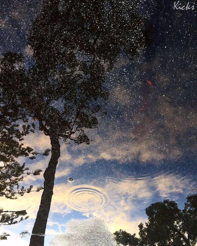 Reflejo en el agua o cielo estrellado