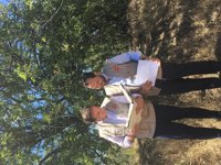 La Comunidad analizará 481 ejemplares para incluirlos en el Catálogo de Árboles Singulares de la región 