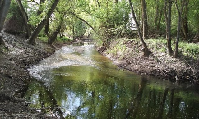 Río Pirón en Mozoncillo