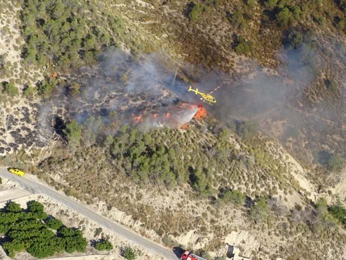 Imagen tomada por Técnico de Extinción en helicóptero de La Pila  