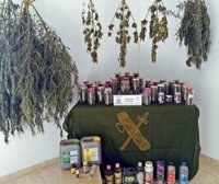 Detenido un vecino de Monterrubio de la Serena que tenía una plantación de marihuana en su casa