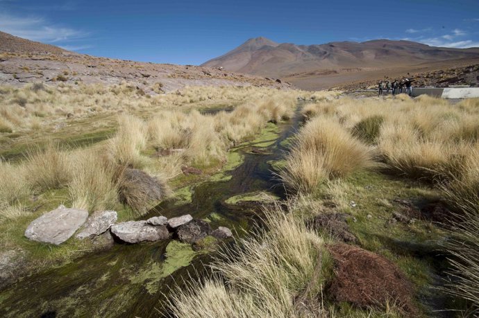 Water runs in one of the springs in Silala, south of La Paz, in this March 29, 2