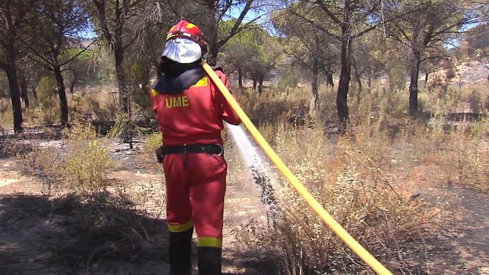 Dan por controlado incendio Moguer y vecinos vuelven casa