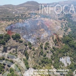 Incendio forestal en el Cortijo el Plantío de Órgiva