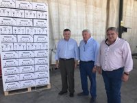 La Junta destaca a Córdoba como primera provincia andaluza y cuarta de España en superficie cultivada de ajo