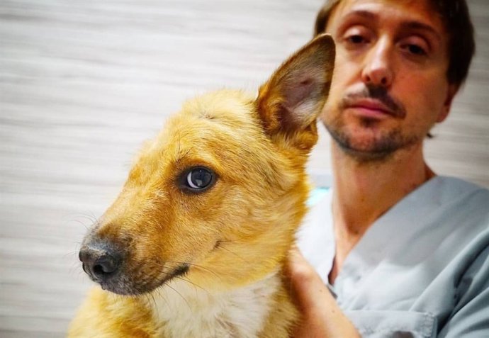 Hospital Veterinario Valencia Sur