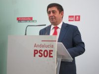 Reyes (PSOE): "No vamos a permitir que el Ayuntamiento de Jaén pare el Museo Íbero igual que lo hizo con el tranvía"
