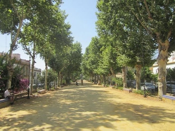 Alameda de Alfonso XIII en Carmona