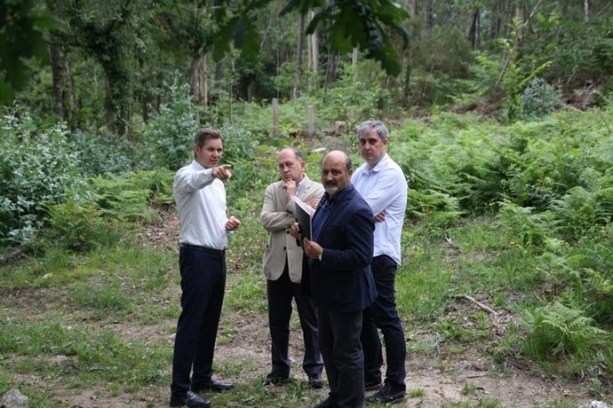 Os Socialistas Propoñen Levar A Toda Galicia O Plan De Prevención De Lumes Con E