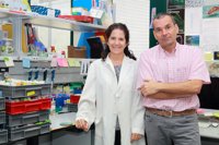 Científicos del CABD de Sevilla desvelan el funcionamiento de la migración celular