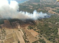 Activada la dotación en Ibiza de la UME para colaborar en el incendio de Formentera