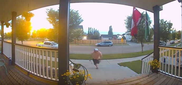 Un hombre huy de una familia de mofetas