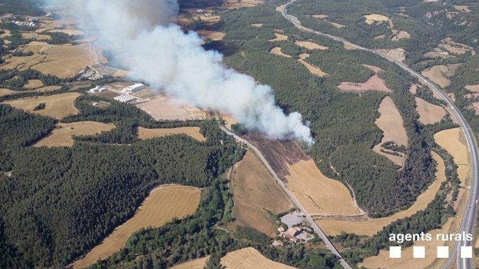  Incendio De Vegetación Agrícola En Avinyó (Barcelona) 
