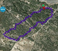 El incendio de Cala Saona (Formentera) ya está controlado tras calcinar 10,2 hectáreas