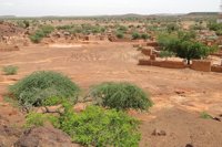 El cambio climático puede reverdecer rápidamente el Sahel