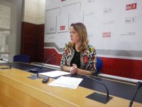 PSOE dice que la posible enmienda a la totalidad de Podemos es "el colmo de la locura"