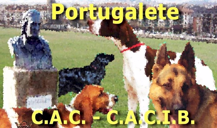 Exposición Internacional Canina Portugalete