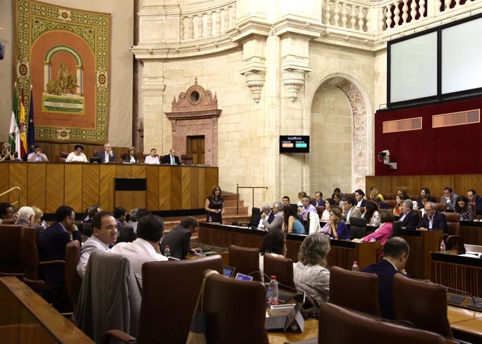Pleno del Parlamento andaluz
