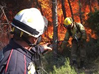 El Consell propone sanciones más duras en materia de incendios forestales y plantea la obligación de reparación del daño