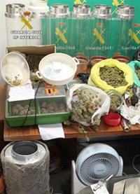 Guardia Civil desmantela un clan familiar dedicado al tráfico de marihuana y cocaína en Murcia