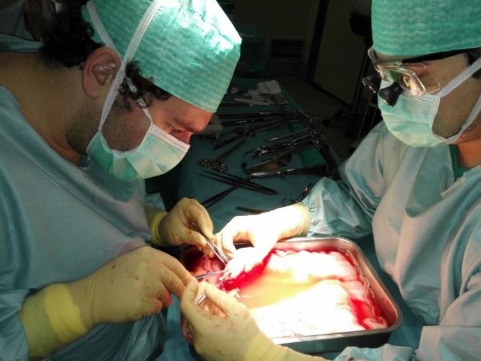 Trasplante ortotópico regional urólogos málaga