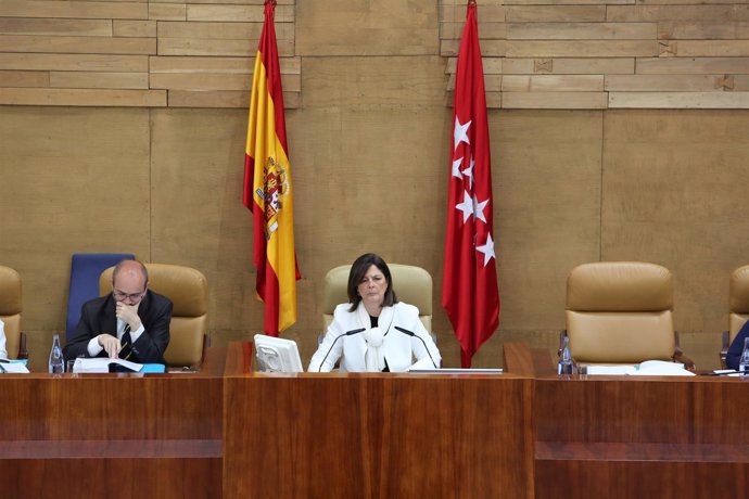 La presidenta de la Asamblea de Madrid, Paloma Adrados, durante un pleno