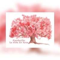 Nace la Fundación la Vida en Rosa, una iniciativa que dará apoyo físico, emocional e intelectual a mujeres con cáncer