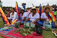 Uruguay investigará los efectos medicinales que posee la coca boliviana