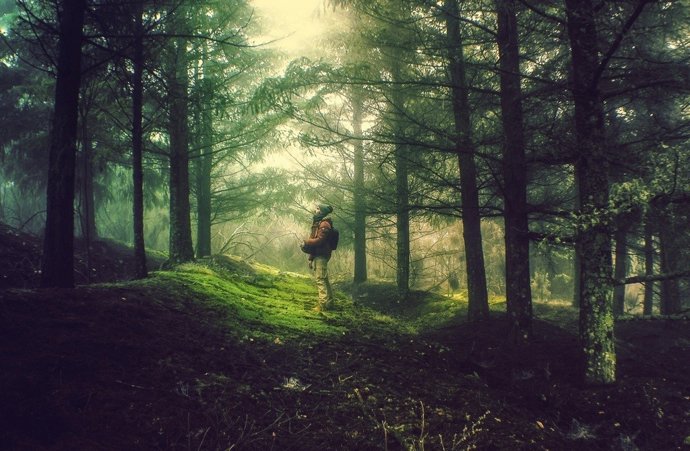 Fotografía ganadora, por Ricardo Ramos