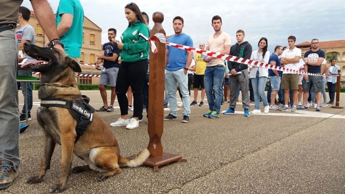 Calatayud es una de las sedes del examen para acceder a la Guardia Civil 