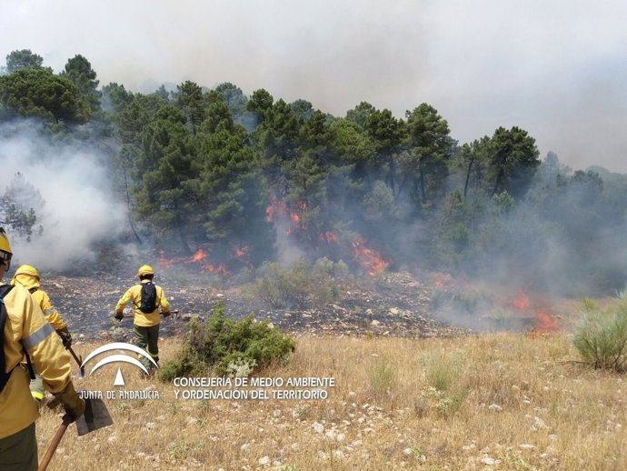 Incendio en la Sierra de Segura