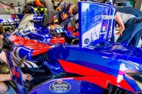 Sainz: "Cuando venía mejorando, han sacado bandera amarilla y no hemos podido rematar"