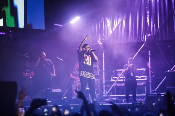 Daddy Yankee en su actuación en València