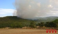 Los bomberos trabajan en un incendio agrícola y forestal en Biosca (Lleida)