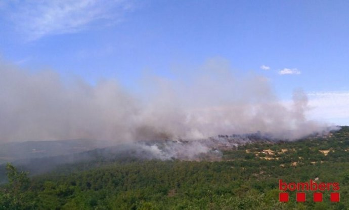 Incendi a Biosca (Lleida)